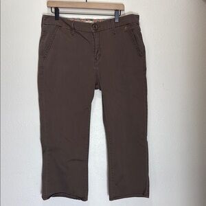 Levi’s Brown Cropped Pants, Size 14